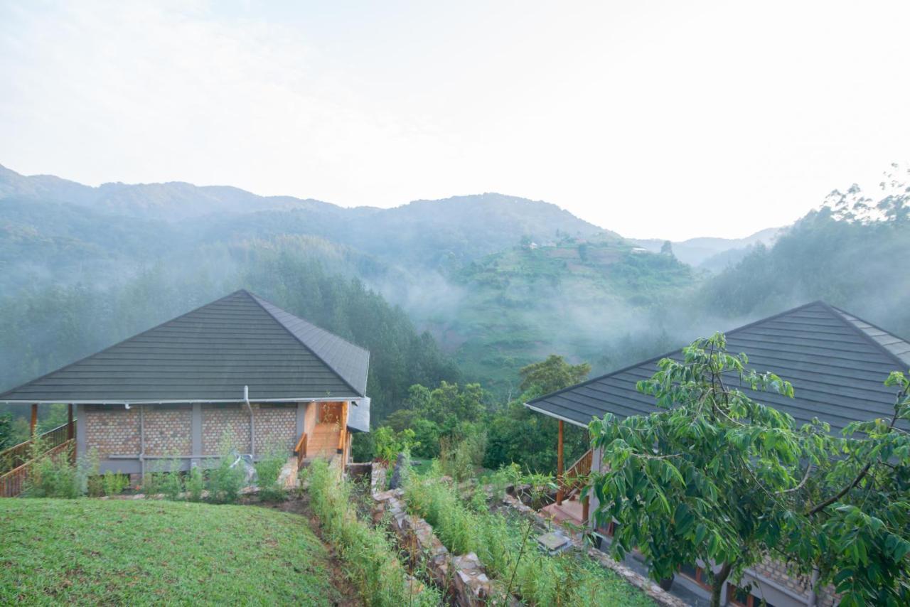 Gorilla Leisure Lodge Kisoro Esterno foto